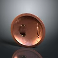 Ancient Copper Circular Shield with Metal Ring and Rivets Weapon Design 3d model