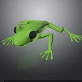 Green Frog With Large Black Eyes On Black Background