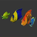 Colorful Tropical Fish With Bright Yellow Blue And Red Patterns On Shiny Surface