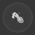 3D Illustration of Abdominal Organs Showing Kidney Blood Vessels and Ureter Structure