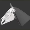 Anatomical 3D Model of Horse Skull Displaying Organ Structures and Hair Details