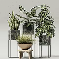 Indoor Potted Green Leafy Plants In Marble Pots With Metal Stands