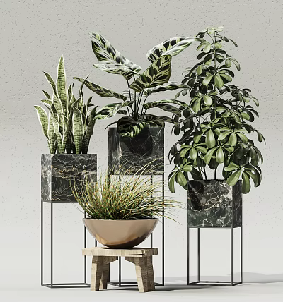 Indoor Potted Green Leafy Plants In Marble Pots With Metal Stands 3d model