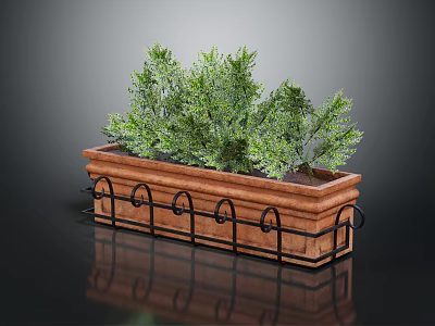Green Plants in Rectangular Wooden Planter with Black Metal Decorative Borders on Dark Reflective Surface 3d model