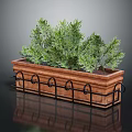 Green Plants in Rectangular Wooden Planter with Black Metal Decorative Borders on Dark Reflective Surface