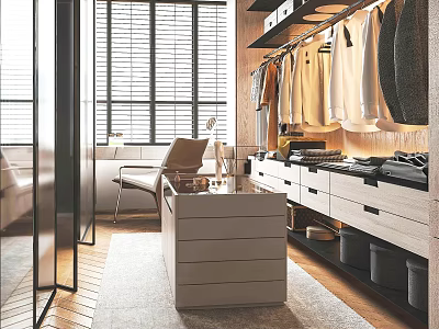 Modern Walk In Closet Design With Hanging Clothes Drawer Cabinets And Window 3d model