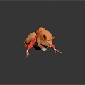 Squirrel Cartoon Squirrel Animation Squirrel Animation Squirrel Cartoon Characters Cartoon Animals Cartoon Small Animals 3d model