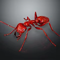 Detailed Shiny Red Ant With Long Antennae And Legs On Dark Background