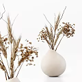 Natural Dried Flower Arrangements in Minimalist Ceramic Glass Vases with Pampas Grass and Eucalyptus