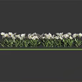Lush Green Grass Surface Adorned With Small White Flowers And Fresh Plants