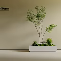 Poliform Plant Combination Featuring Small Trees And Low Green Plants In White Rectangular Planter 3d model
