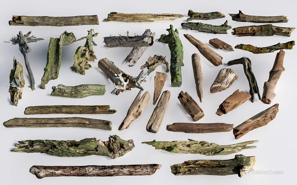 Natural Arbor Branches And Trunks With Various Textures And Shapes 3d model