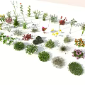 Diverse Collection of Colorful Flowers and Green Grasses with Various Shapes and Vibrant Blooms
