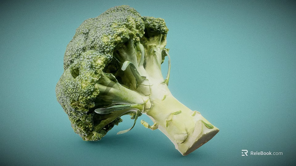 Detailed Broccoli Sculpture Carving With Realistic Green Texture And Fresh Appearance 3d model 