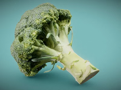 Detailed Broccoli Sculpture Carving With Realistic Green Texture And Fresh Appearance 3d model