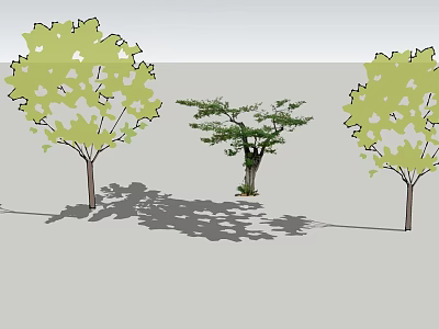 Three Arbor Trees With Lush Green Leaves And Natural Shadows In Outdoor Setting 3d model