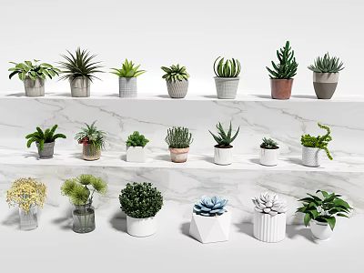 Beautiful Bonsai and Potted Plants Collection with Varied Types and Decorative Pots on Marble Steps 3d model
