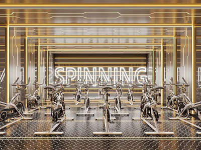 Spacious Fitness Studio With Spinning Bikes Modern Neon Lights And Metallic Design 3d model