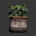 Indoor Potted Plant With Green Leaves In Ceramic Pot And Spiral Design And Saucer Base