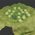 Natural Mud Built Nest With White Eggs And Small Creatures Inside