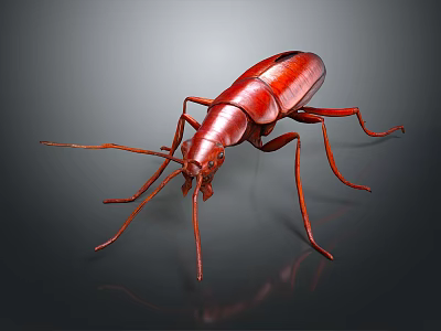 3D Rendered Shiny Red Beetle With Long Antennae And Legs On Dark Background 3d model
