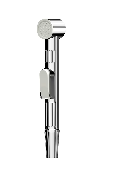 Modern Chrome Finish Shower Head With Wall Mounted Design And Handheld Sprayer 3d model