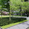 Modern Residential Landscape With Grass Lawn Trees Water Feature And Stone Pathways