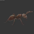 Bronze Ant Landscape Sculpture With Realistic Metal Design And Detailed Features