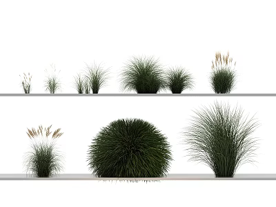 Herbaceous Plants Display With Various Types On White Shelves For Decorative Use 3d model