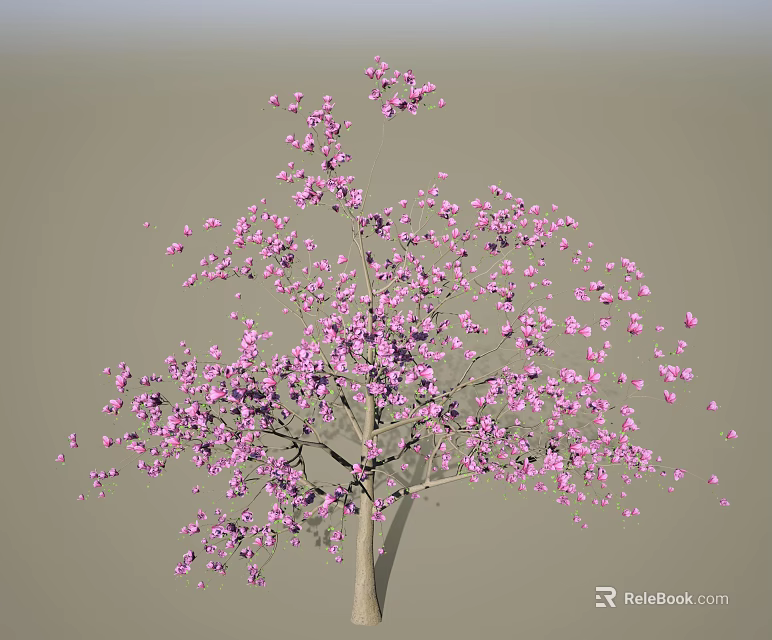 Beautiful Blooming Tree Covered In Pink Flowers Against Gray Backdrop 3d model 