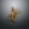 Isolated Leafless Tree With Brown Trunk And Bare Branches On Gray Background