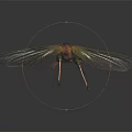 Grasshopper With Transparent Wings And Green Brown Body On Black Background 3d model
