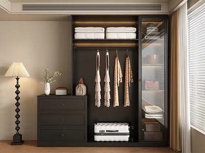 Modern Wardrobe With Glass Door Hanging Area Folded Clothes Drawers And Storage Box 3d model