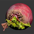 Vibrant Fresh Red Radish with Crisp Green Leaves on Reflective Black Studio Surface