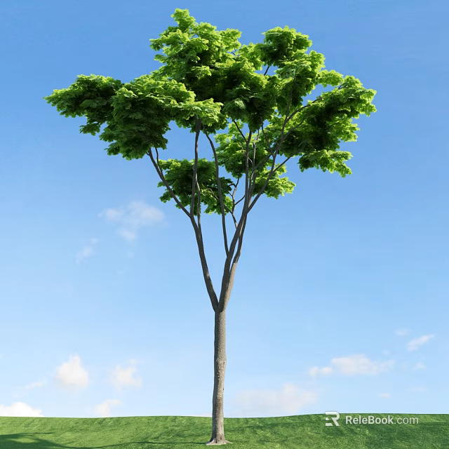 Tall Arbor With Lush Green Leaves Against Blue Sky And White Clouds 3d model 