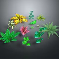 Diverse Colorful Plant Foliage with Various Leaf Shapes and Vibrant Green Hues