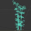 Tall Bamboo Stalks With Lush Green Leaves In Natural Growth Pattern