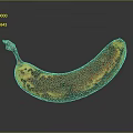 Overripe Banana with Brown Spots and Curved Shape Natural Healthy Food