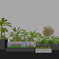 Modern Plant Combination With Various Greenery In Decorative Planters And Boxes