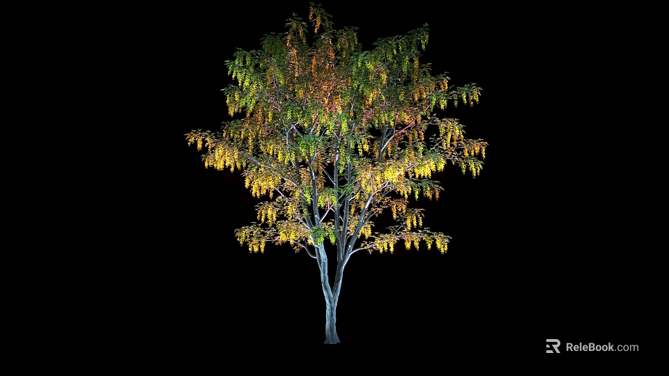 Arbor With Green And Yellow Hanging Leaves On Slender Trunk Isolated On Black Background 3d model 
