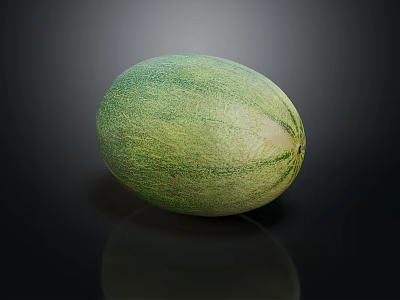 Fresh Green Cantaloupe Fruit with Textured Skin and Oval Shape on Black Reflective Surface 3d model