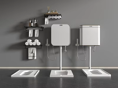 White Squat Toilets With Wall Mounted Water Tanks And Shelves Holding Toiletries Towels 3d model