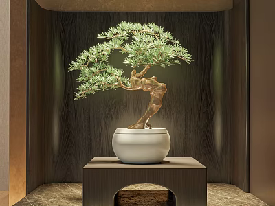 Bonsai Plant in White Pot on Wooden Stand with Dark Wooden Background and Soft Lighting 3d model