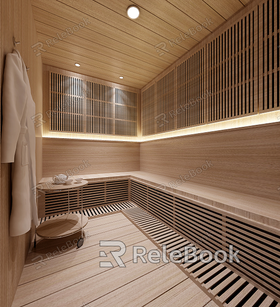 Modern Sauna Room model