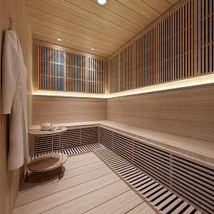 Modern Sauna Room 3d model