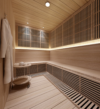 Modern Sauna Room 3d model