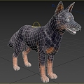 Modern Australian Cattle Dog Animal Creatures 3d model