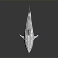 Detailed Silver Shark Model With Open Mouth On Green Base Stand 3d model