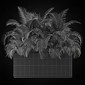 Bonsai Potted Plant With Lush Green Fern Like Leaves In Black Square Planter