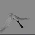 White Flying Bird With Spread Wings Long Black Beak And Grey Background 3d model